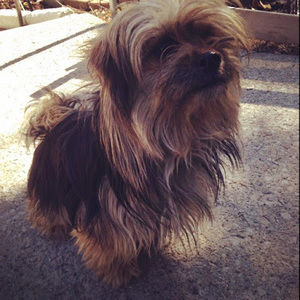 Meet your Posher, Nohemy